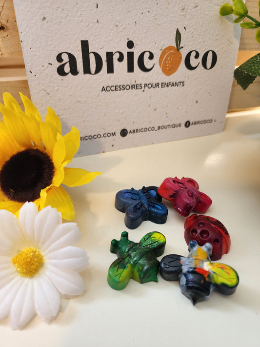 Ensemble de Crayons de cire recyclés